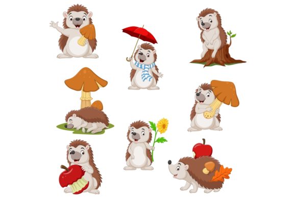 Cartoon Funny Little Hedgehog Graphics for Branding