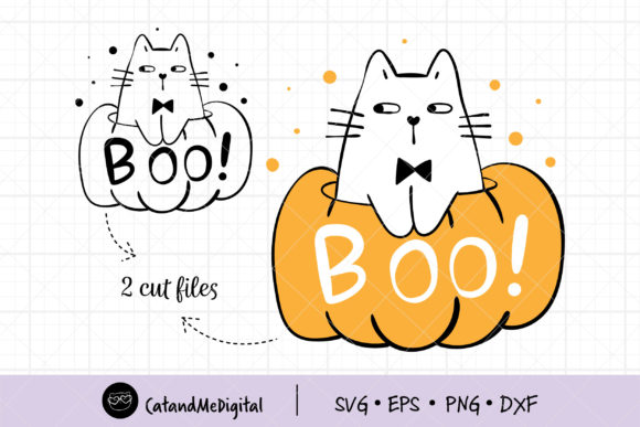 Cat in Pumpkin Holloween